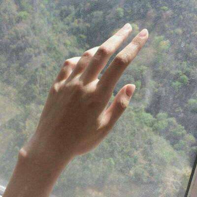 开云网kaiyunapp下载