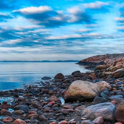 新宝体育官方登录入口