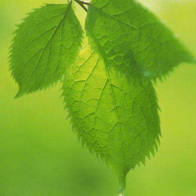 yabo手机版官网登录