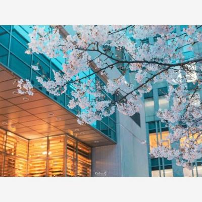 中欧体育app下载安装