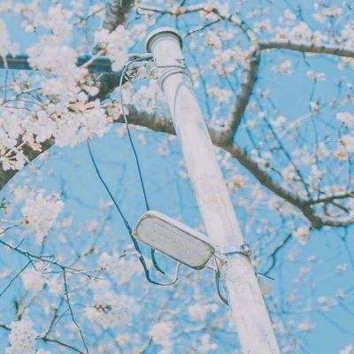 凯时ag旗舰厅-登录入口